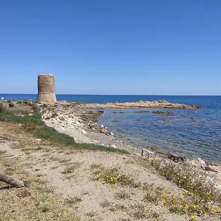 Harbour In Sardegna